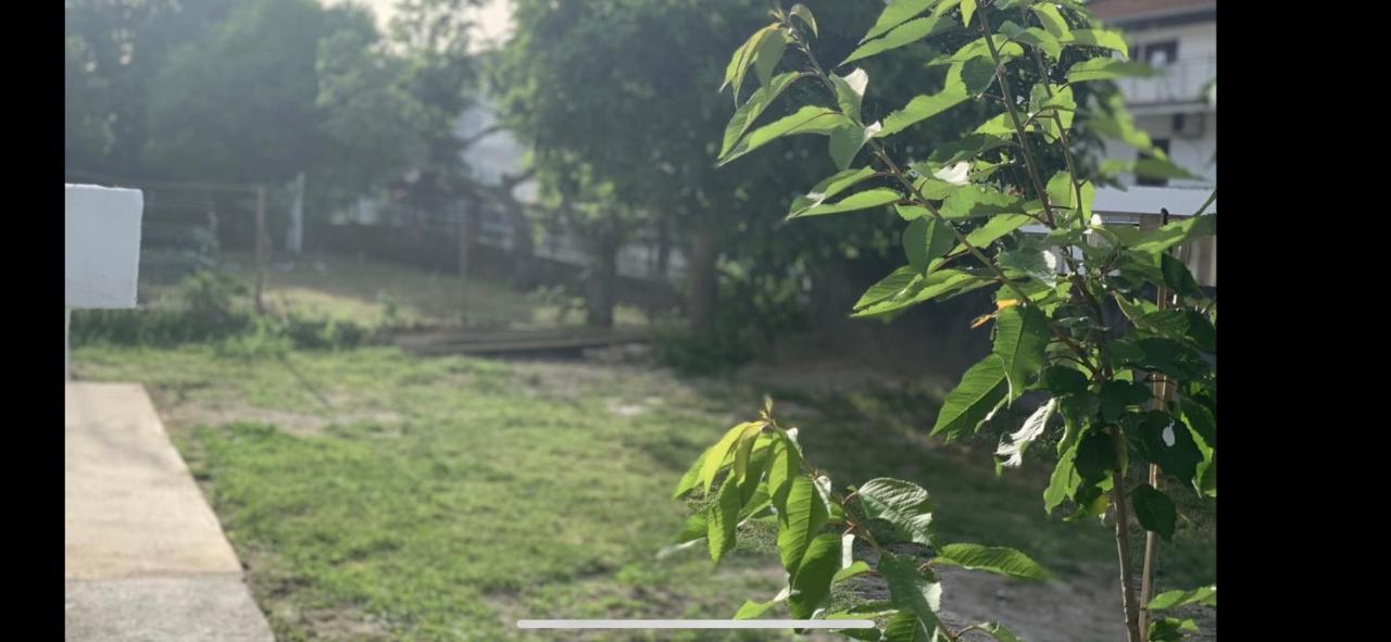 Apartments Dibra Ulcinj Zewnętrze zdjęcie